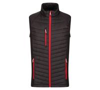 Regatta Professional Gilet Trapuntato Ibrida Uomo (RG9422)