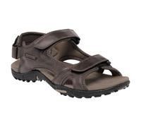Sandali da uomo Regatta Haris Misura delle scarpe (EU): 42 / Colore: marrone