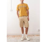 Pantaloncini da uomo Regatta Shorebay Shorts II Taglia: M / Colore: beige