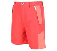 Regatta Sorcer Mount Shorts II Pantaloncini da Bambino idrorepellenti, ad Asciugatura Rapida e Catarifrangenti. Dotato di tecnologie DWR e Isoflex. Adatto per l'escursionismo.