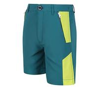 Regatta Sorcer MountShtII Pants, Pacific Green/Bright Kiwi, 5 Years Unisex