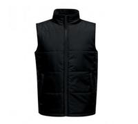 Regatta Standout - Access - Gilet termico - Uomo (PC3323)