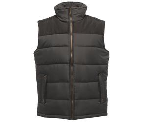Regatta - Standout Altoona - Gilet Imbottito - Uomo (BC3038)