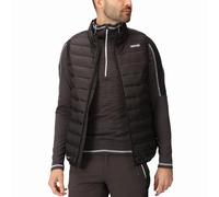 Regatta Uomo Marizion gilet caldo isolato imbottito Outdoor gilet giacca