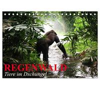 Regenwald ¿ Tiere im Dschungel (Tischkalender 2026 DIN A5 quer), CALVENDO Monatskalender: Die wunderbare Artenvielfalt im Regenwald