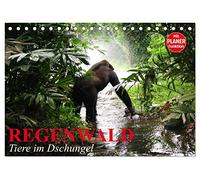 Regenwald. Tiere im Dschungel (Tischkalender 2026 DIN A5 quer), CALVENDO Monatskalender: Die wunderbare Artenvielfalt im Regenwald