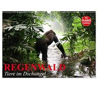 Regenwald. Tiere im Dschungel (Wandkalender 2026 DIN A3 quer), CALVENDO Monatskalender: Die wunderbare Artenvielfalt im Regenwald