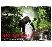 Regenwald ¿ Tiere im Dschungel (Wandkalender 2026 DIN A3 quer), CALVENDO Monatskalender: Die wunderbare Artenvielfalt im Regenwald