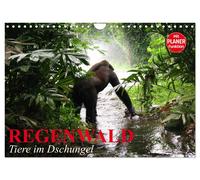 Regenwald. Tiere im Dschungel (Wandkalender 2027 DIN A4 quer), CALVENDO Monatska