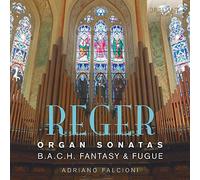 Reger Max - Sonate Per Organo (Nn.1 E 2), Fantasia E