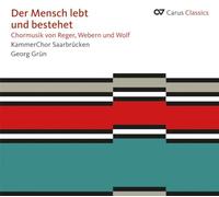 Max Reger Der Mensch Lebt Und Bestehet (CD) Album