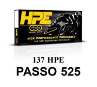 Regina HPE - CATENA 525 118 MAGLIE,APERTA CON RIV