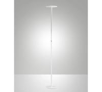 REGINA TERRA BIANCO S/FIGLIA 3551-12-102