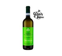 REGINA VIARUM DRUSILLA FALERNO DEL MASSICO 2023 VINO BIANCO DOP CAMPANIA