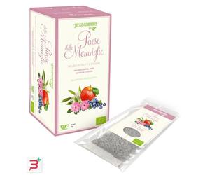 REGINADIFIORI PAESE DELLE MERAVIGLIE INFUSO BIO DI FRUTTI E BACCHE CON ROSA CANINA MELA SAMBUCO E MIRTILLO 15 FILTRI