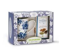 REGINAdiFIORI Tisana Mago Merlino con Anice e Finocchio + tazza (15 filtri)