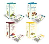 REGINAdiFIORI Tisane bio assortite (4x15 filtri)