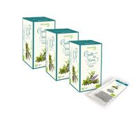 REGINAdiFIORI Tisane Canto Sirena con Salvia, Eucalipto e Timo (3x15 filtri)