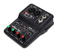 Registrazione di chitarra elettrica for il monitoraggio del canale del mixer audio professionale for cantare in studio Per lo studio di registrazione DJ(Color:TEYUN Q-12)
