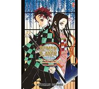 Registro della squadra ammazzademoni. Demon slayer. Kimetsu no yaiba. Official fanbook. Vol. 1