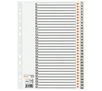Registro in plastica A4 1-31 31 fogli