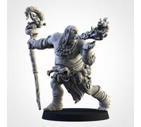 Regni Degli Ogres - Sciamano Ogre 1