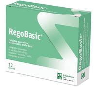 Pegaso REGOBASIC 12 BUSTINE POLVERE