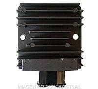 Sgr 12v Trifase Cc 5 Fastons 4174723 Regulator/rectifier Argento