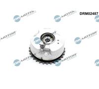 Regolatore albero a camme Lato scarico per AUDI A4 A5 A6 A6 Allroad A7 A8 Q7