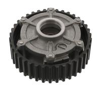 Regolatore albero a camme SWAG 60 94 6189 RENAULT ESPACE III (JE0_) 2 1998-2002