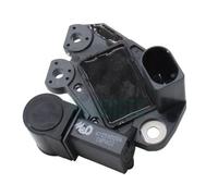 Regolatore alternatore HOFFER per Vw, Audi, Seat