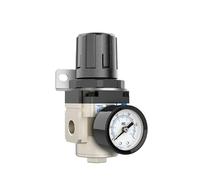 Regolatore AR2000 AR3000 AR4000 AR5000 Serie AR2000-02 AR3000-03 AR4000-04/06 AR5000-06/10 Sostituisci
