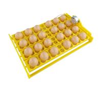 Regolatore automatico per cova, grande, con display di umidità, tornitore automatico, incubatore per cova oche anatre galline 24 uova