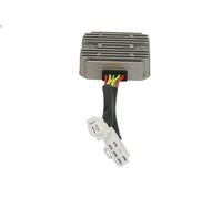 Regolatore dell'alternatore DZE DZE02079