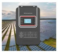 Regolatore di carica solare MPPT 80A 100A 12V 24V 36V 48V Raffreddamento con ventola(80A)