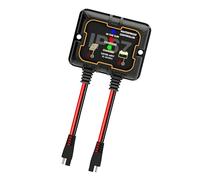 Regolatore di energia solare MPPT da 100 A per batteria da 12 V con indicatori LED e design impermeabile Off Grid Controller di disposizione solare