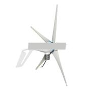 Regolatore di potenza eolica, Generatore eolico da 100 W, 200 W, 300 W, mini generatore eolico da 12 V e 24 V for la casa, camper, barche, lampioni per energia eolica solare(LS-100SE3 12V)