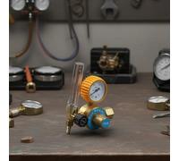 Regolatore di pressione Argon per bombola di gas Argon YQAr-731L - Regolatore di pressione dell'aria in lega di zinco monostadio con calibro 15 MPa, uscita 0,25 MPa e 1,6