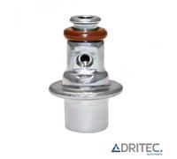 ✅ Regolatore di Pressione Benzina per ARTIC CAT Pantera 800 EFI (2002-2004)