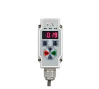Regolatore di Pressione, Limitatore di peso di sollevamento Ispezione della fune Sovraccarico della gru Controllo digitale integrato del montaggio(18-65V 9M Cable)