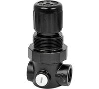 Regolatore di pressione miniatura gamma di pressione 0,3-3,5 bar connessione G1/4 Norgren R91W-2GK-NEN