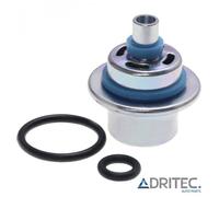 ✅ Regolatore di Pressione per SKI-DOO Renegade Back Country 800R EFI (2011-2012)