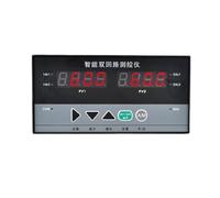 Regolatore di processo multi-loop, misuratore di pannello digitale, controllo della temperatura e della pressione, display indicatore di allarme multicanale(2-Relay-AC220V)