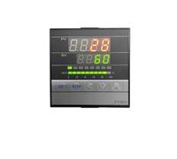 Regolatore di temperatura ad alta precisione FY900-203000.