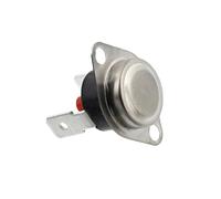 Regolatore Di Temperatura Per Lavatrice AEG Originale