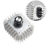 Regolatore di tensione AC 220V 5000W SCR regolatore di velocità motore dimmer t