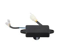 Regolatore di Tensione Automatico Universale per Generatori 250V 220UF - Adatto a Generatori da 1 a 3KW con Componenti Elettronici di Alta qualità