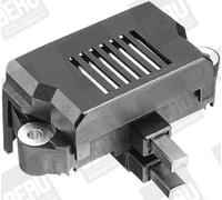 Regolatore di tensione GER019 BERU by DRiV per AUDI VW PORSCHE SEAT