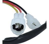 Sgr Regolatore/raddrizzatore 12v Cc/ca 4179255