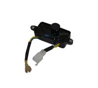 Regolatore di tensione regolatore AVR per generatore di corrente...